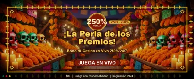 Tu suerte comienza en Box24